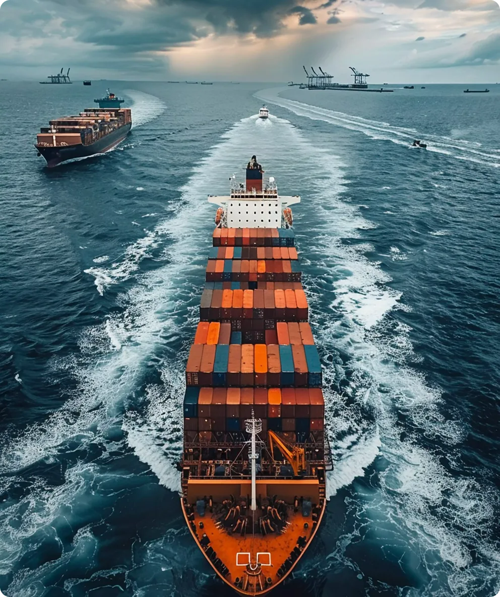 The Role of Custom Brokers in Darwin